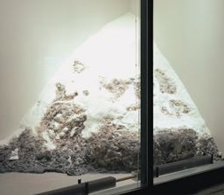 Tony Tasset's Snow Sculpture for Chicago